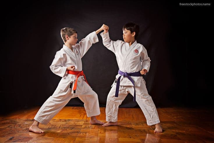 Kids Karate Program