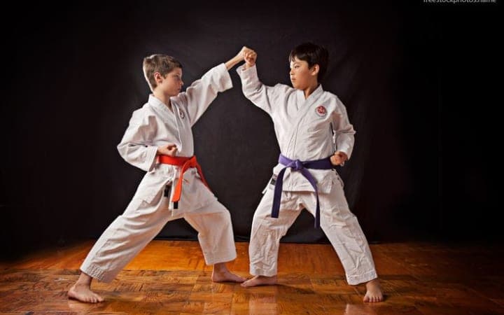 Kids Karate Program